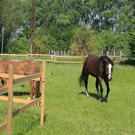 Ferienpark Aparthotel Seeland Schadeleben Buitenkant foto