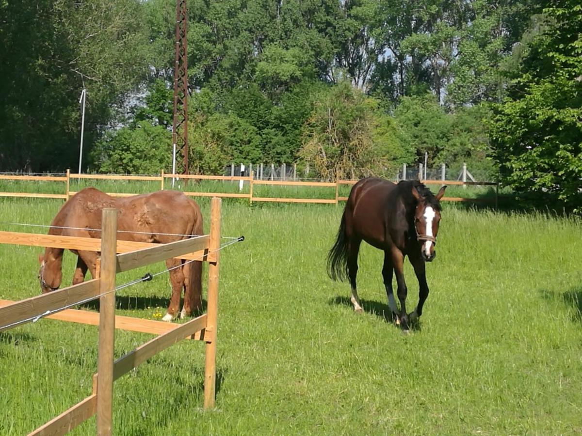 Ferienpark Aparthotel Seeland Schadeleben Buitenkant foto